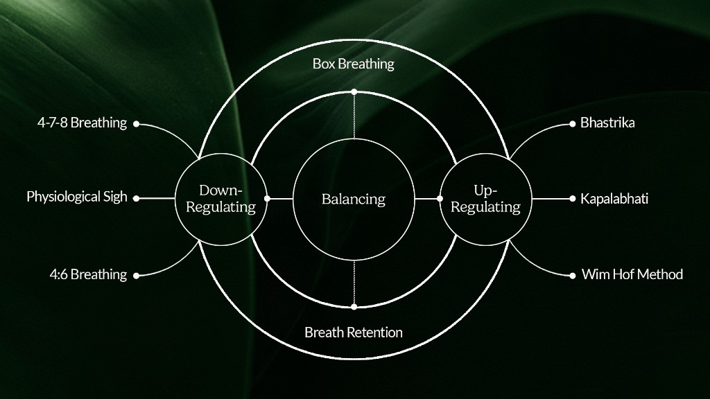 Breathwork techniques mapped across down-regulating, balancing, and up-regulating