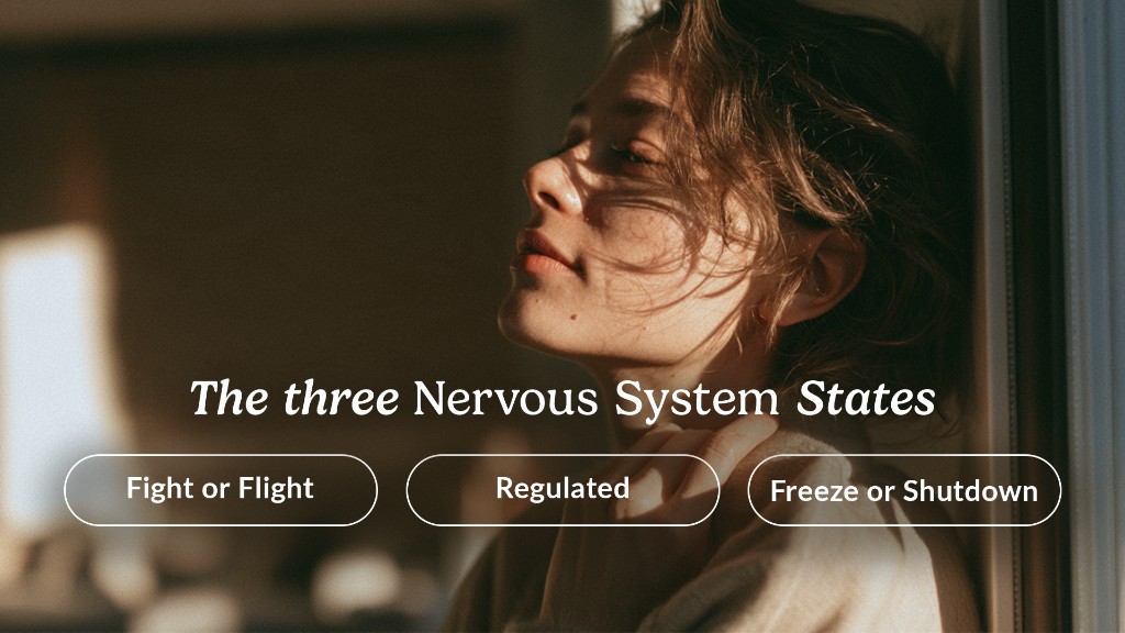 Diagram showing three nervous system states: fight or flight, regulated, and freeze or shutdown