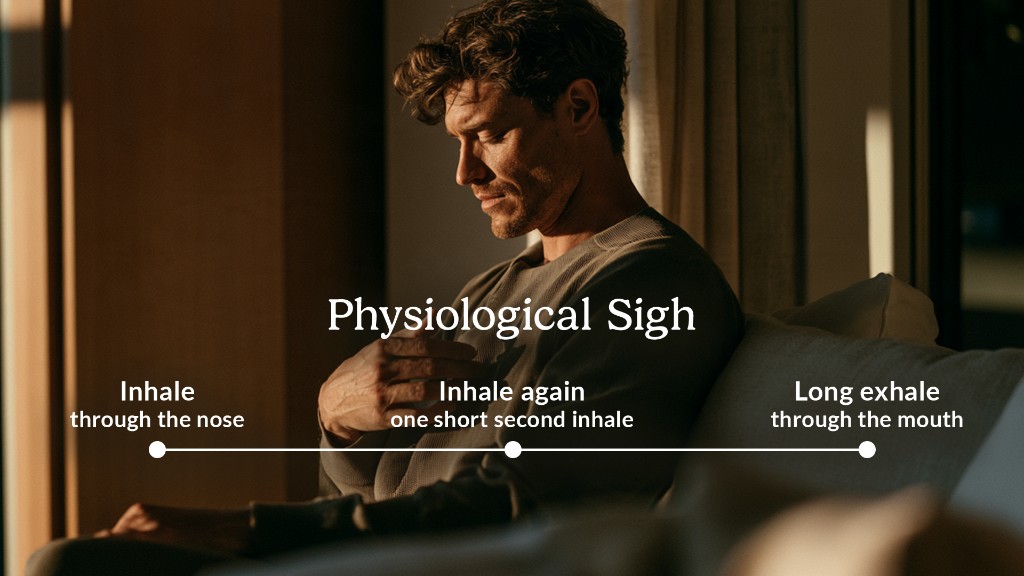 Step-by-step illustration of the physiological sigh breathing technique for nervous system regulation